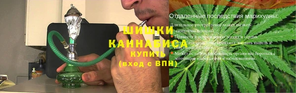 стаф Дмитровск