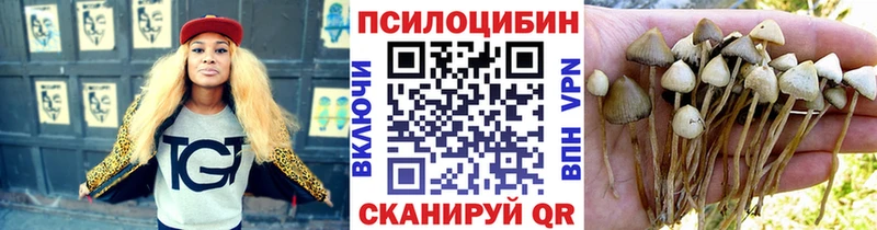 Галлюциногенные грибы Psilocybine cubensis  Будённовск 